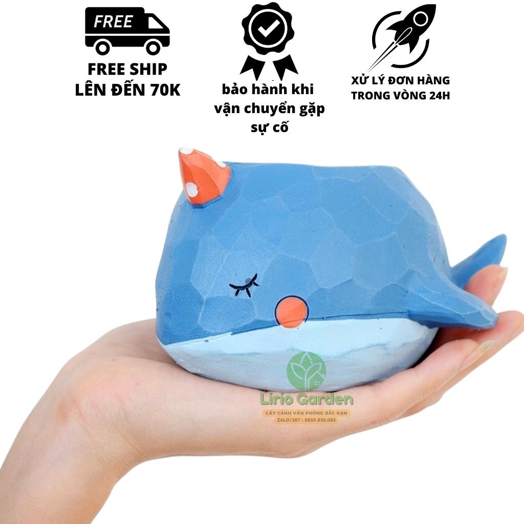 chậu cây hình cá voi xanh