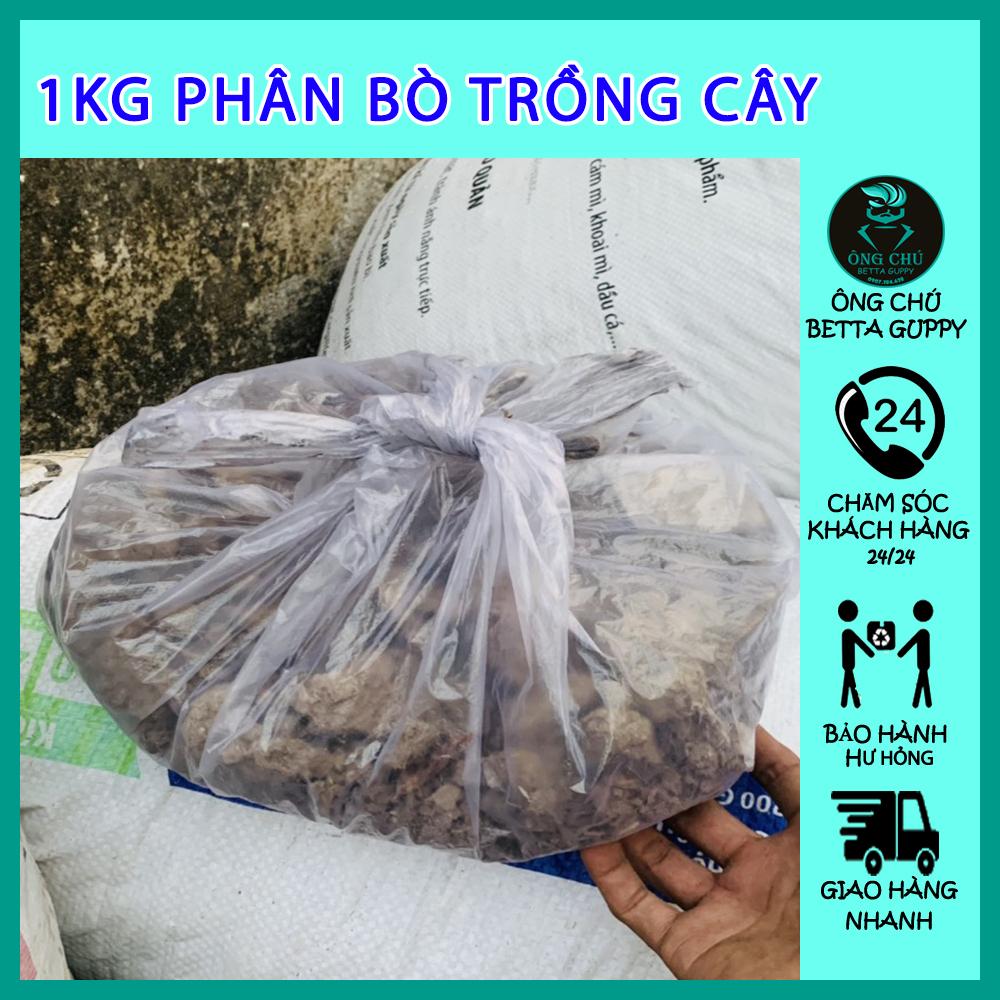 Phân bò hữu cơ - trồng cây