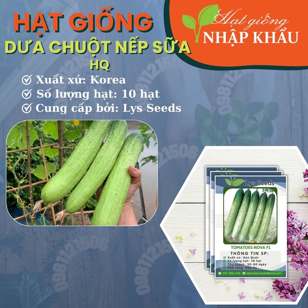 Hạt giống dưa chuột nếp sữa HQ. Xuất xứ: Hàn Quốc. 10 hạt/gói