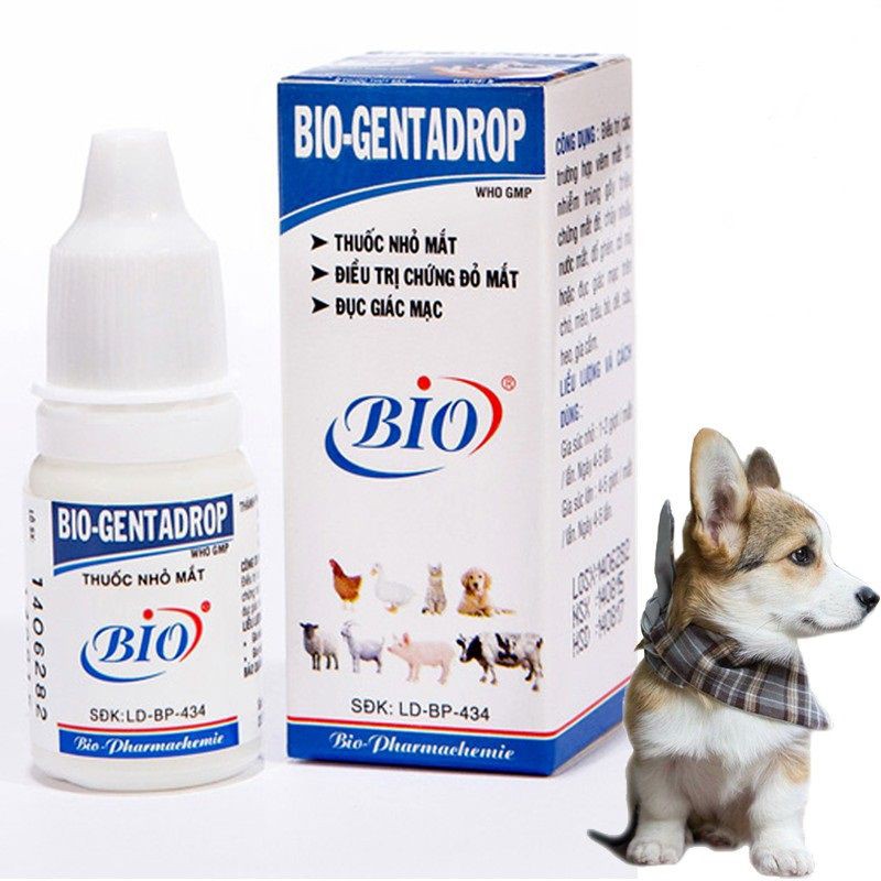 Nhỏ mắt Bio cho chó mèo