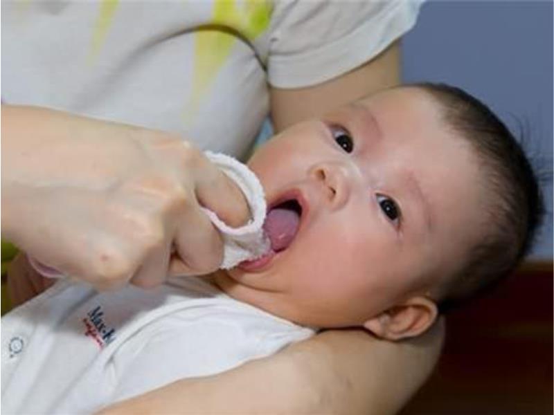 Rơ lưỡi gạc tưa lưỡi Đông Pha (Gói 10 hộp 50 chiếc)
