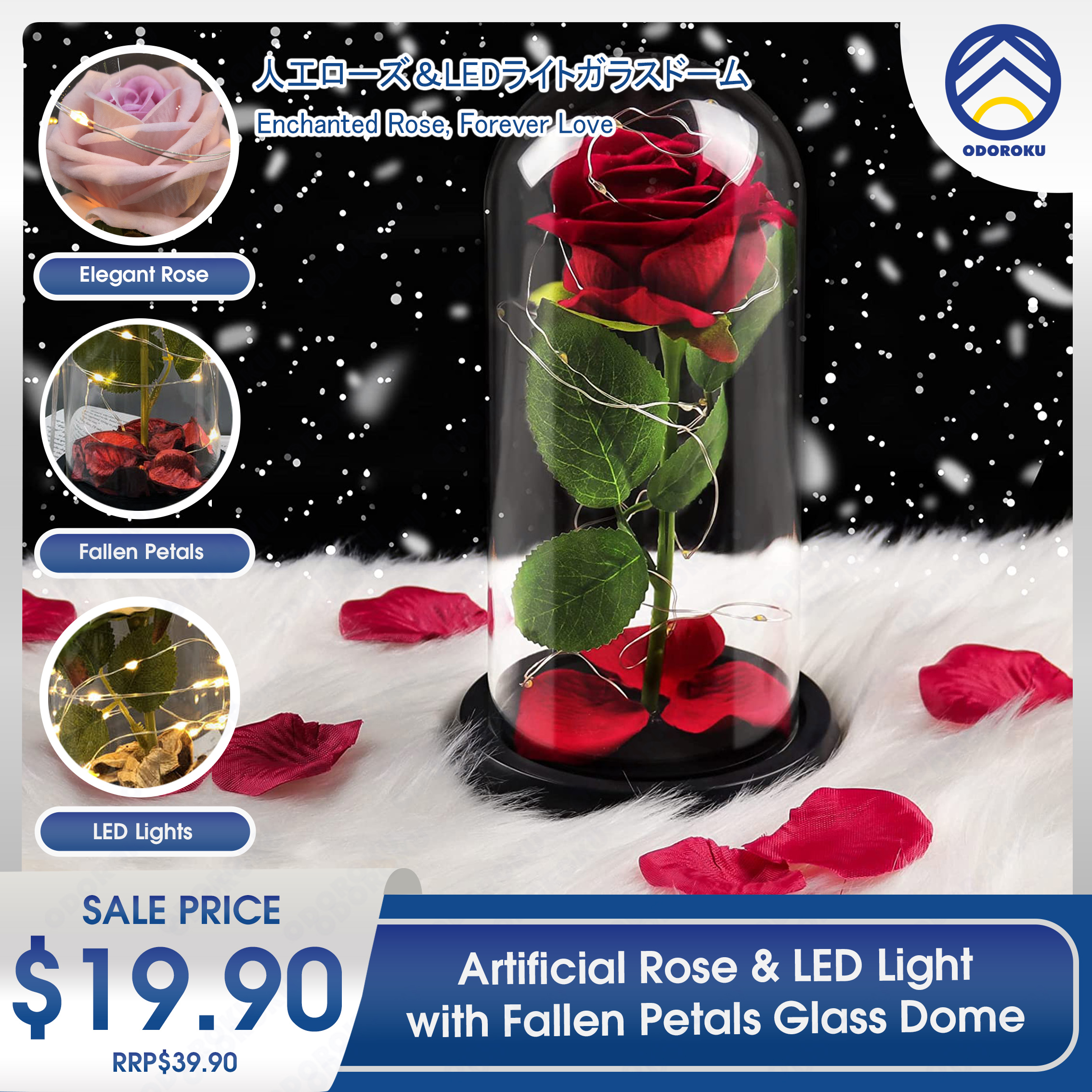 ODOROKU Silk Rose and Led Light with Fallen Petals in Glass Dome