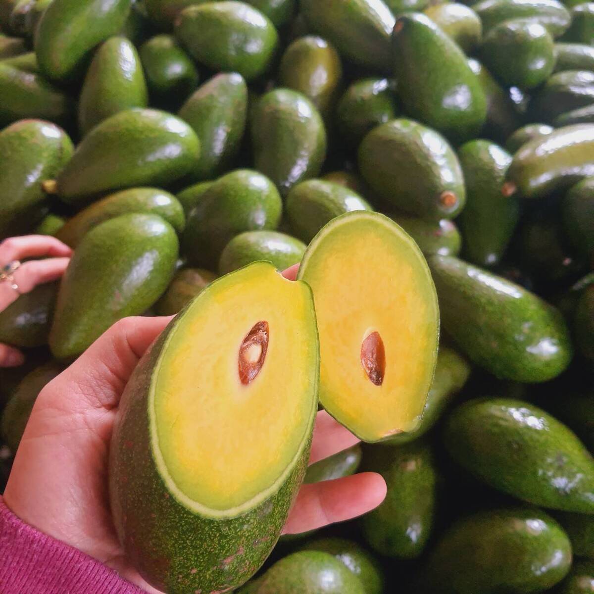 Bơ 034 Béo Thơm - Túi 1kg (3-4 Trái) - Foodmap Fruit