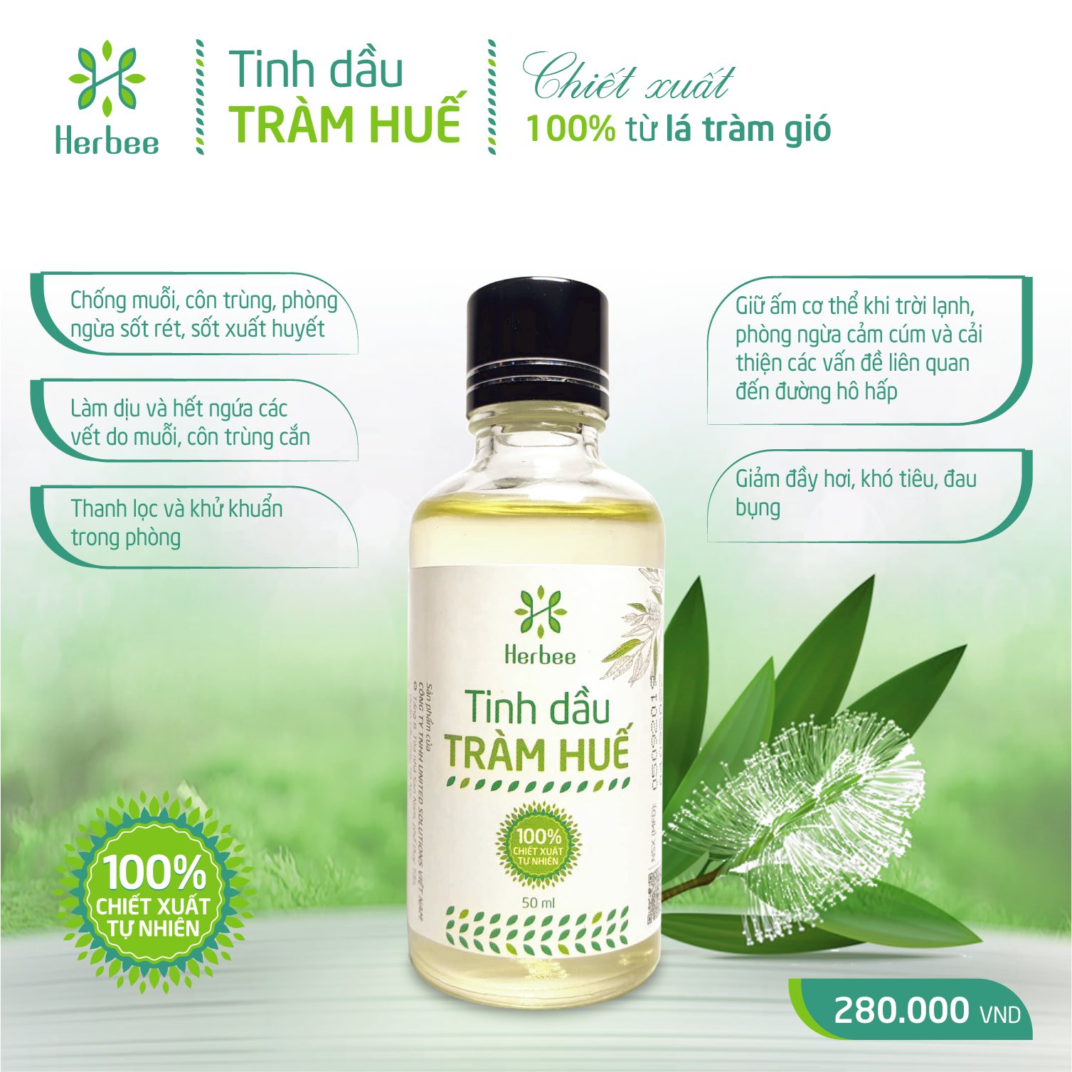 Tinh Dầu Tràm Huế Herbee Nguyên Chất