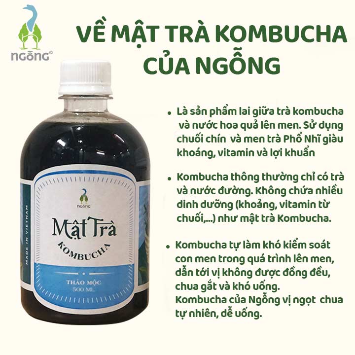 Mật Trà KombuchaThảo Mộc 500ml