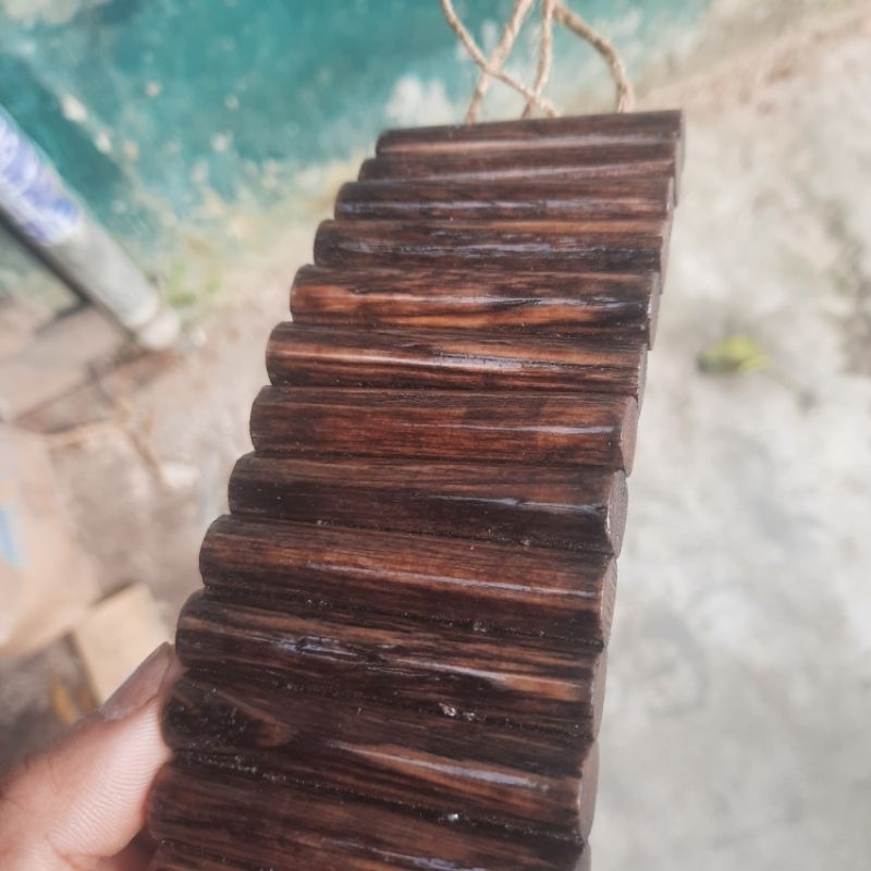 Thang Gỗ Uốn Cong Cho Ốc mượn hồn,Hamster,Bò Sát..Vv