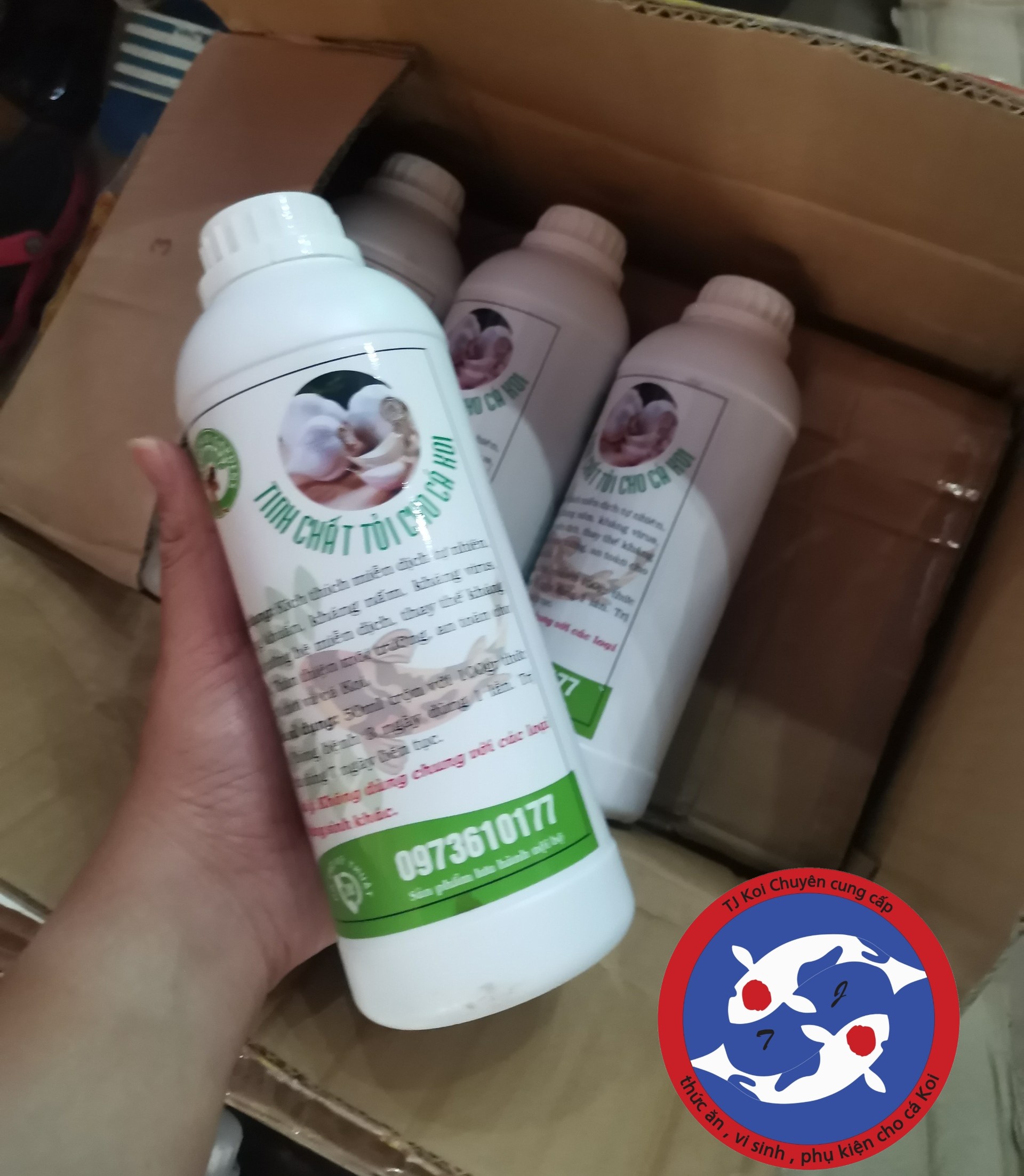 TINH CHẤT TỎI, THẢO DƯỢC CHO CÁ KOI