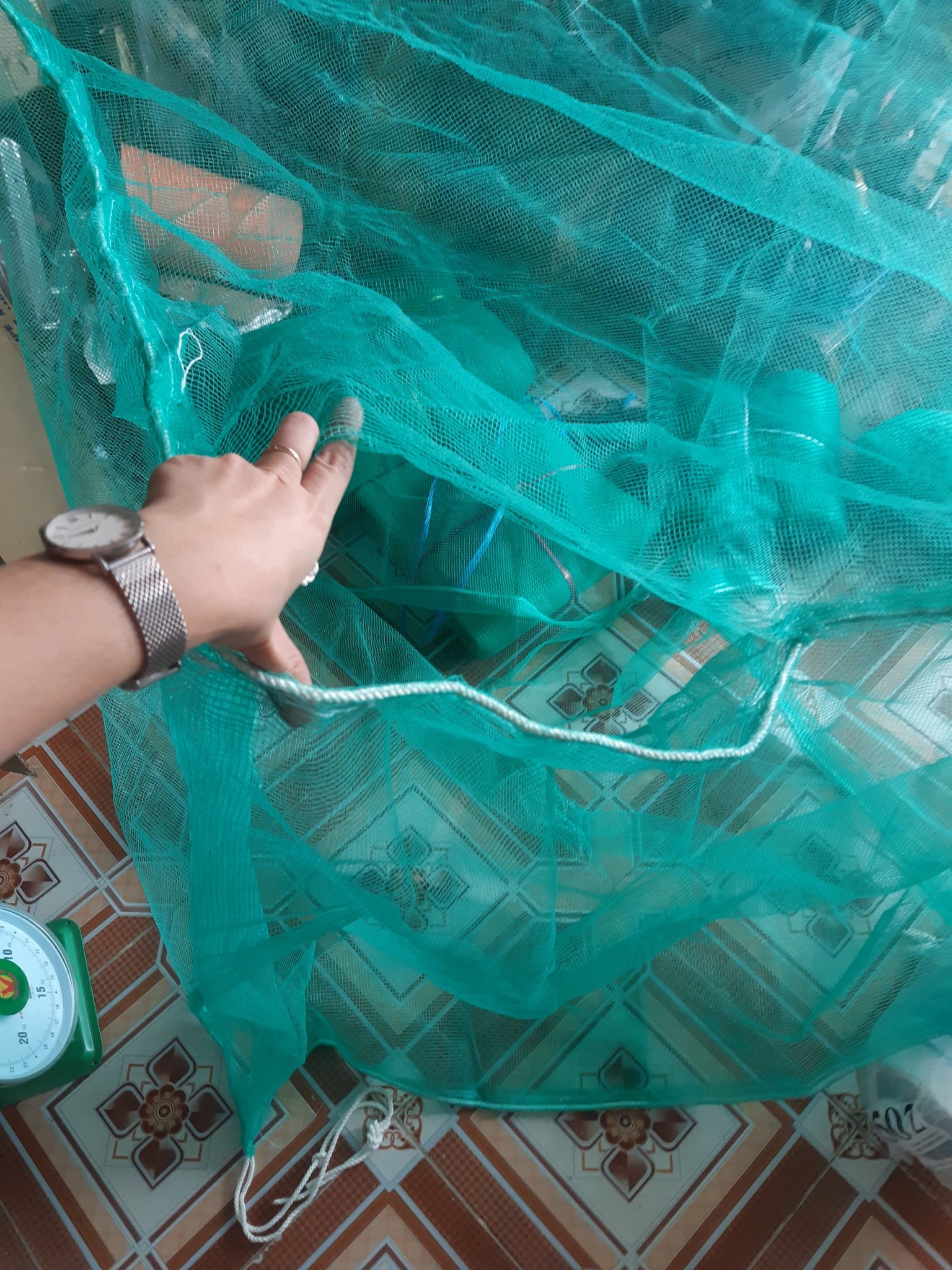 Vèo nuôi ếch, cá (tráng, lồng..) có nắp đậy