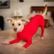 【b1598253】Dog Onesie Clothes Shedding of Hair for Car Travel Anxiety Calming Shirt Surgery Recovery Body Jumpsuit for Large Dogs. 