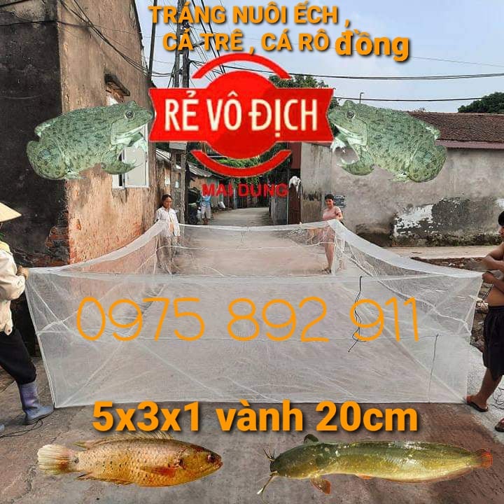 Lồng nuôi ếch chuyên nghiệp