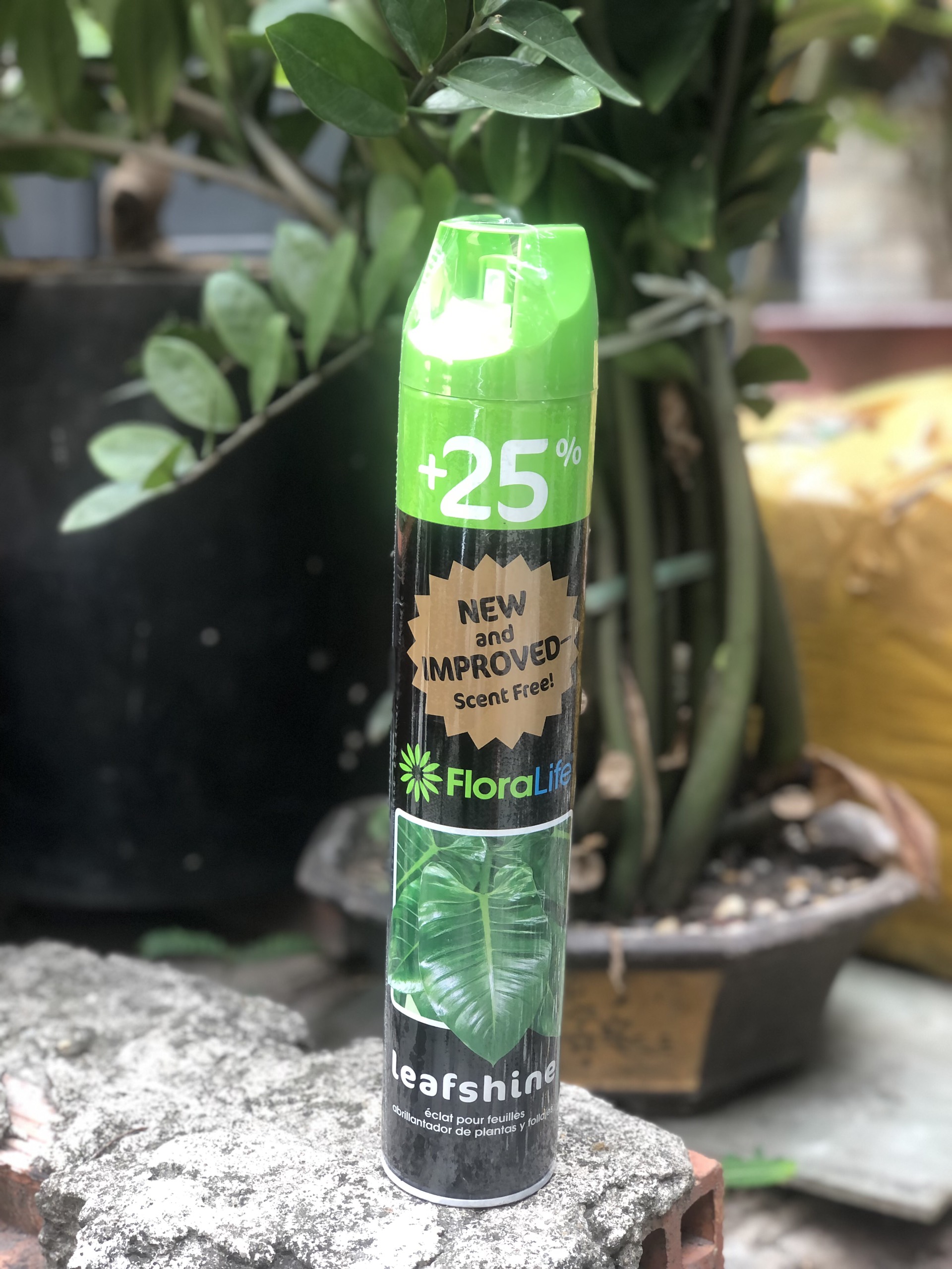 Leaf shine- xịt bóng lá 750 ml