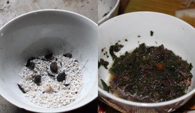 10 hạt dổi nếp