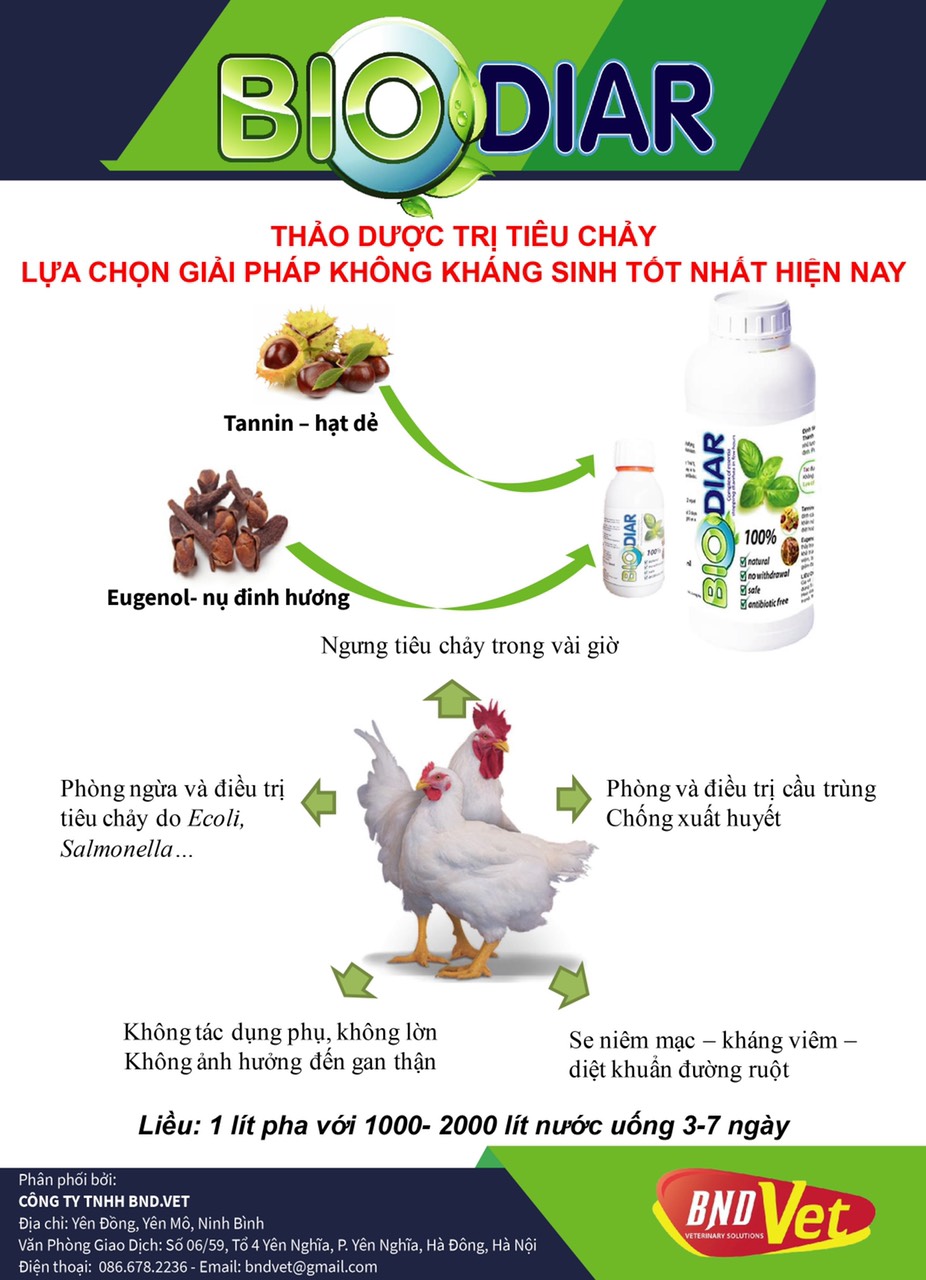 Thảo dược BIO DIAR DỪNG TIÊU CHẢY CẤP TỐC