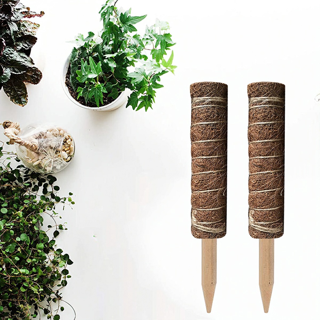 Trụ cột xơ dừa cho cây leo bám cột 30/40/50cm