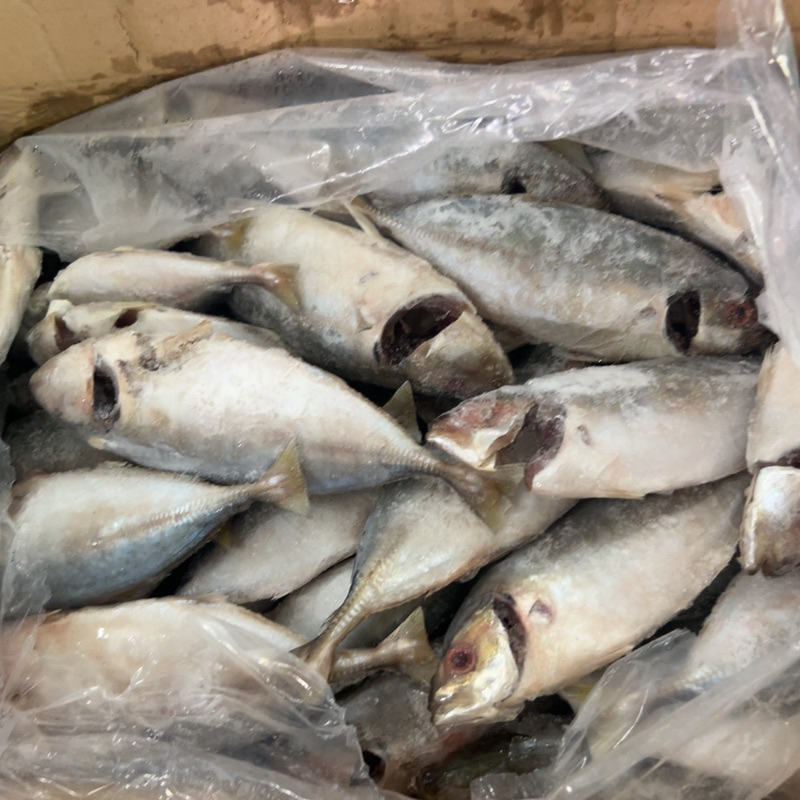 Cá Ngân tươi ngon làm sạch cấp đông 1kg (giao tphcm)