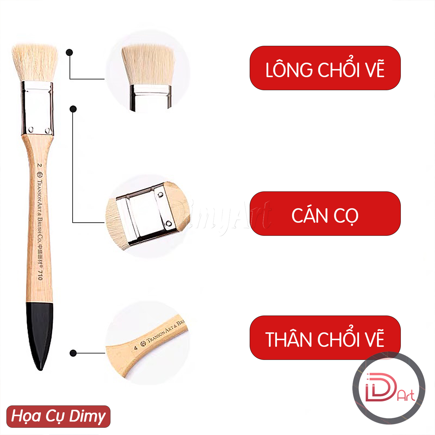 [DIMY ART] Chổi vẽ/panh xô lông cừu TRANSON cao cấp