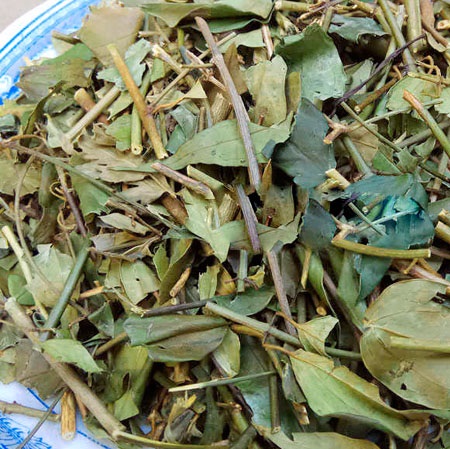CHÈ VẰNG / TRÀ VẰNG SẺ LỢI SỮA NGUYÊN CHẤT