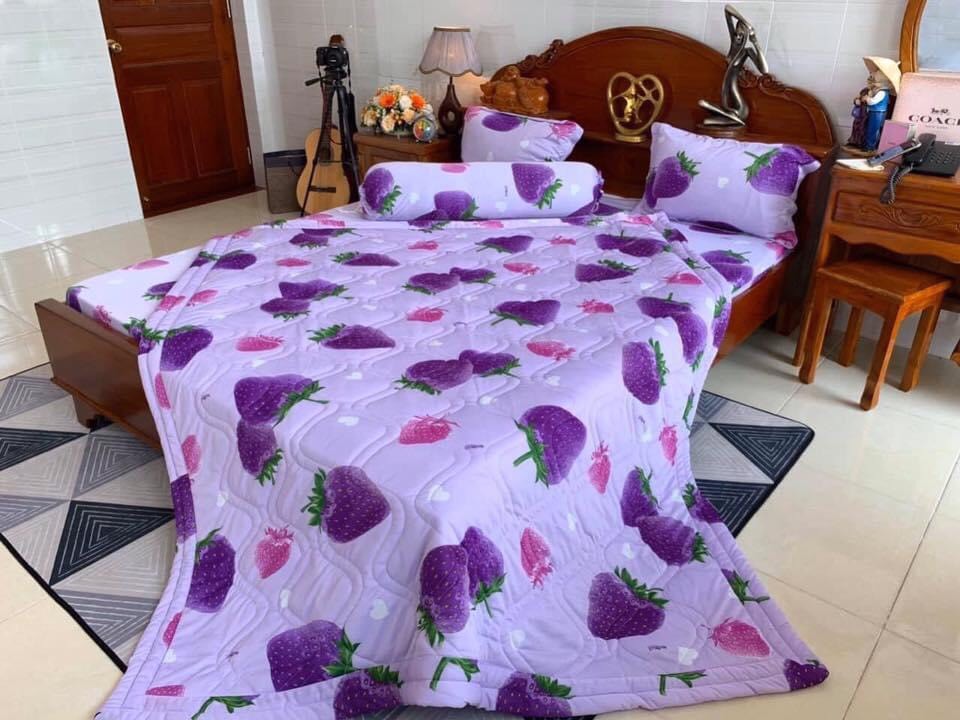 (KÍCH LẠ 2M2*2M) Bộ drap ga thun Hàn quốc