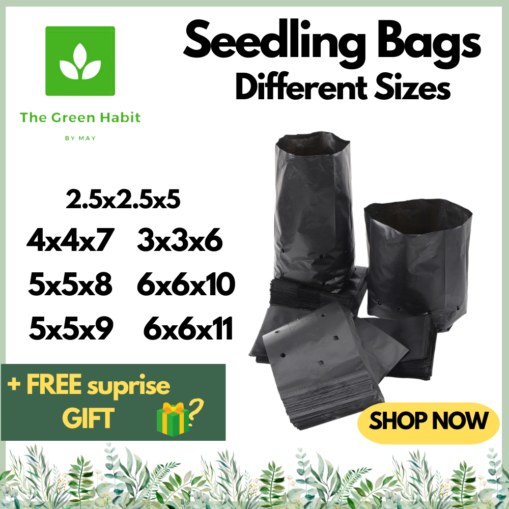 The Green Habit by May Seedling bag 100 pcs seedling bag all sizes seedling bag all sizes