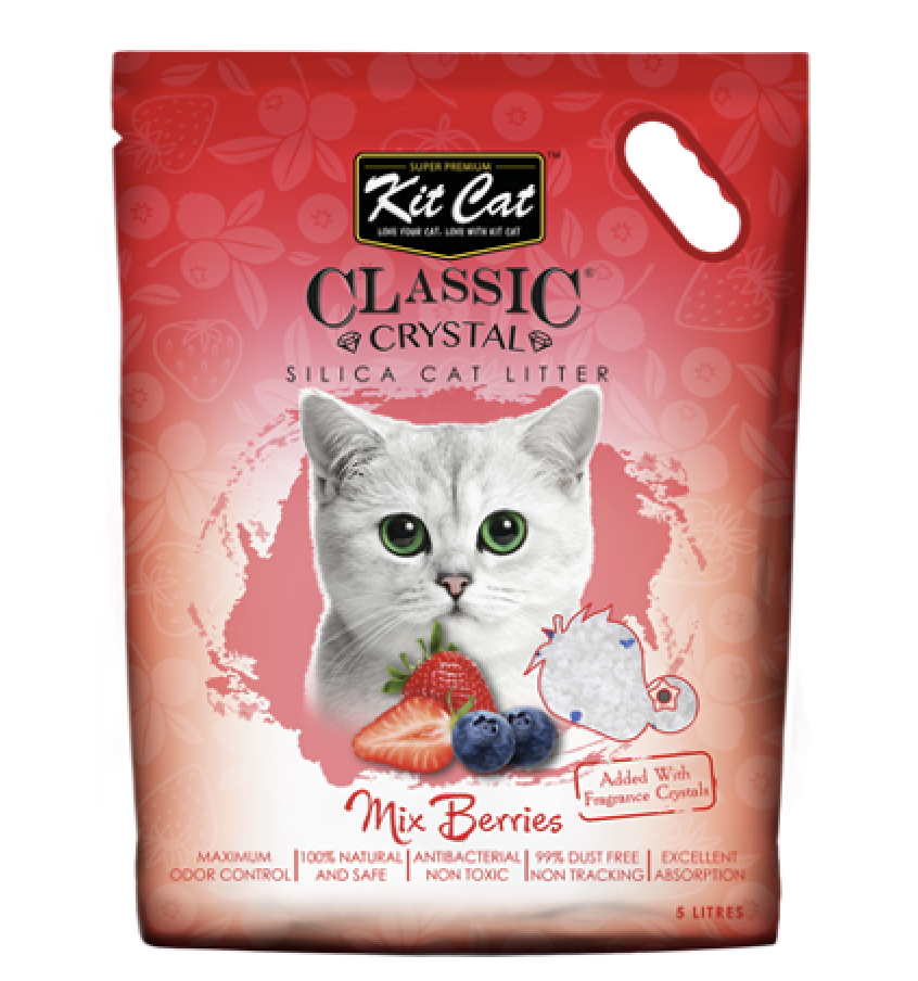 Cát vệ sinh cho mèo - Cát thủy tinh [FREESHIP] KitCat 5L