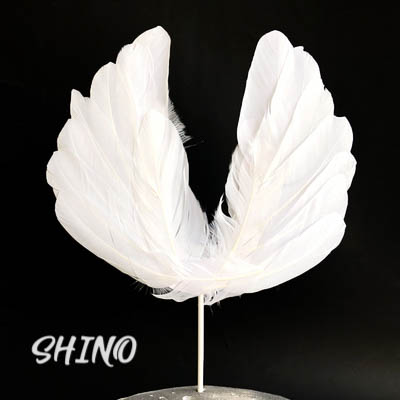 Cánh thiên thần trắng