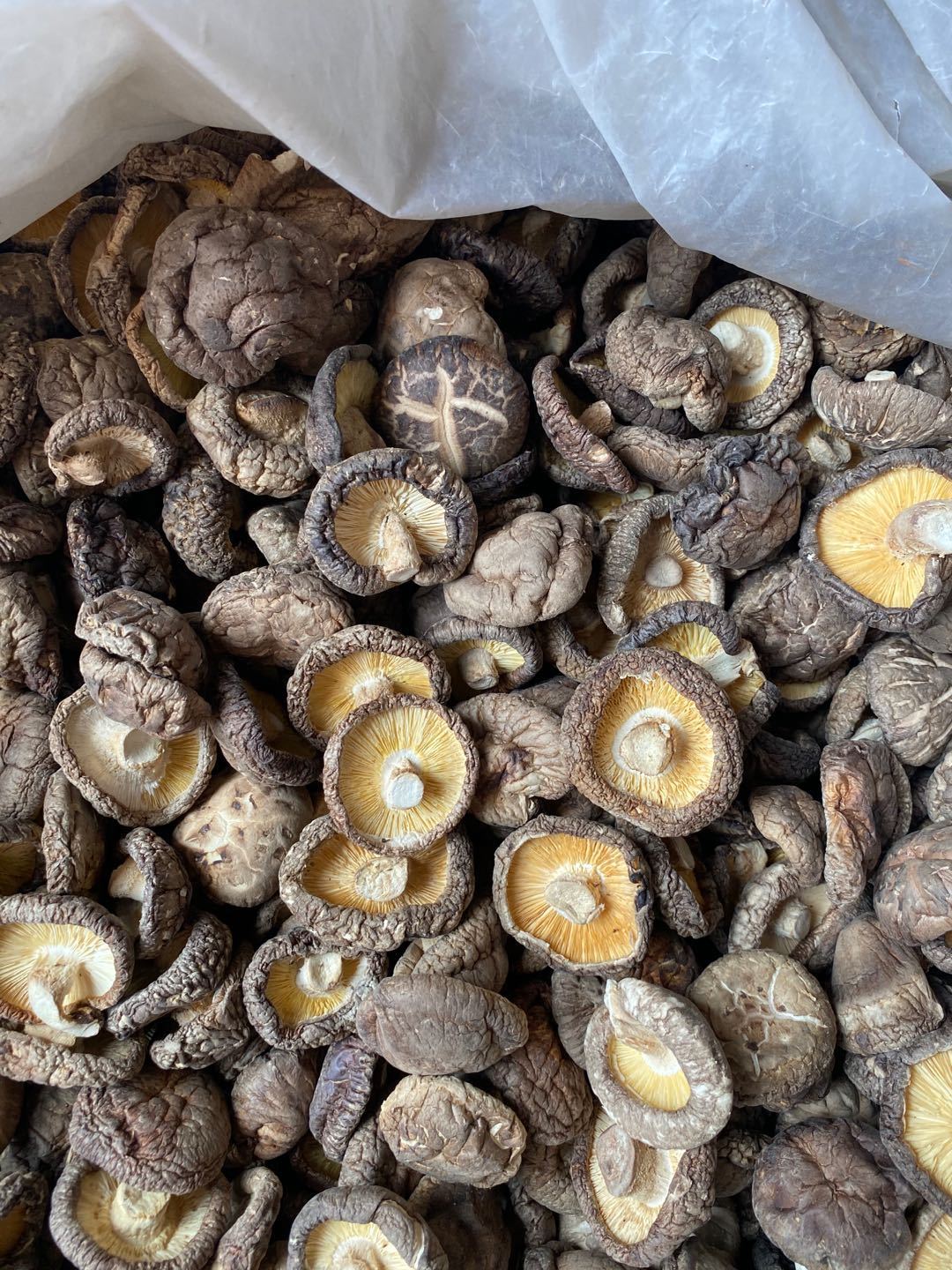 Nấm Đông Cô ( Nấm Hương) Khô 100 Gram