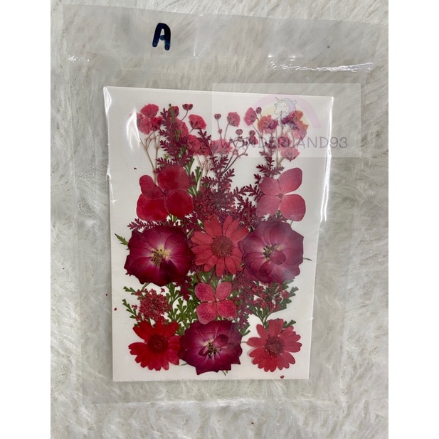 SG mixed pressed flower set Dried Flower Resin Flower Epoxy Resin