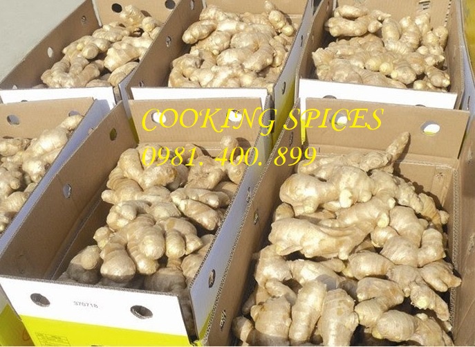 Bột Gừng sạch nguyên chất ( Ginger Powder ).