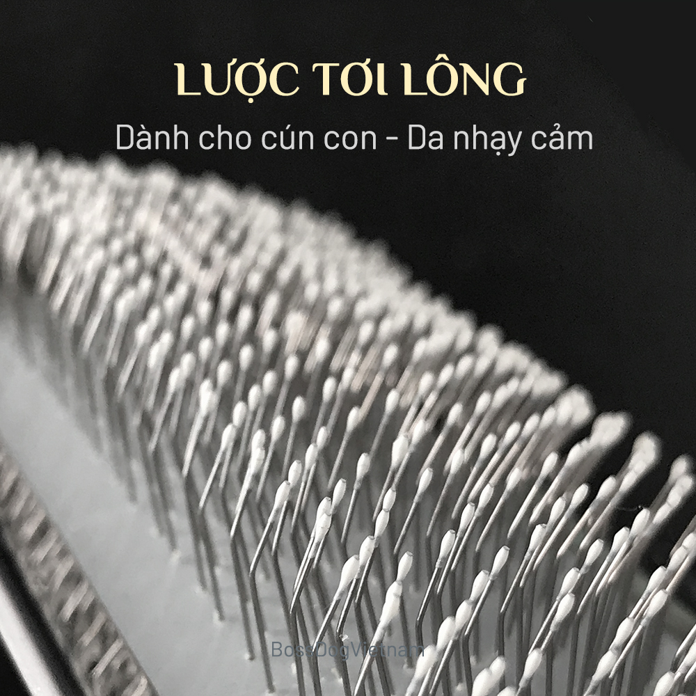 Lược chải lông chó mèo - Đầu răng tròn | BossDog