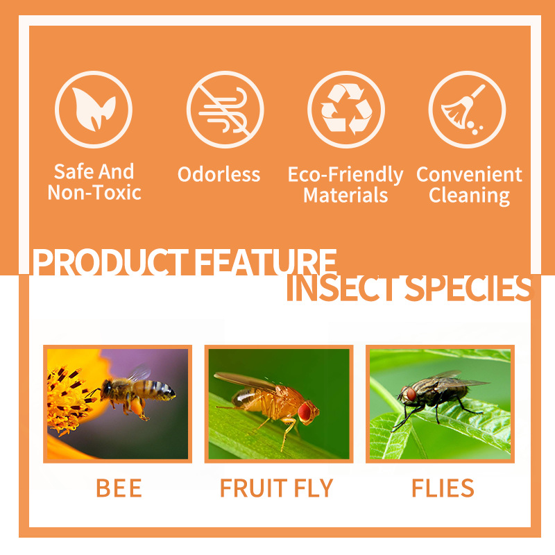 Drosophila trap insect trap bee trap hanging fly trap fly trap