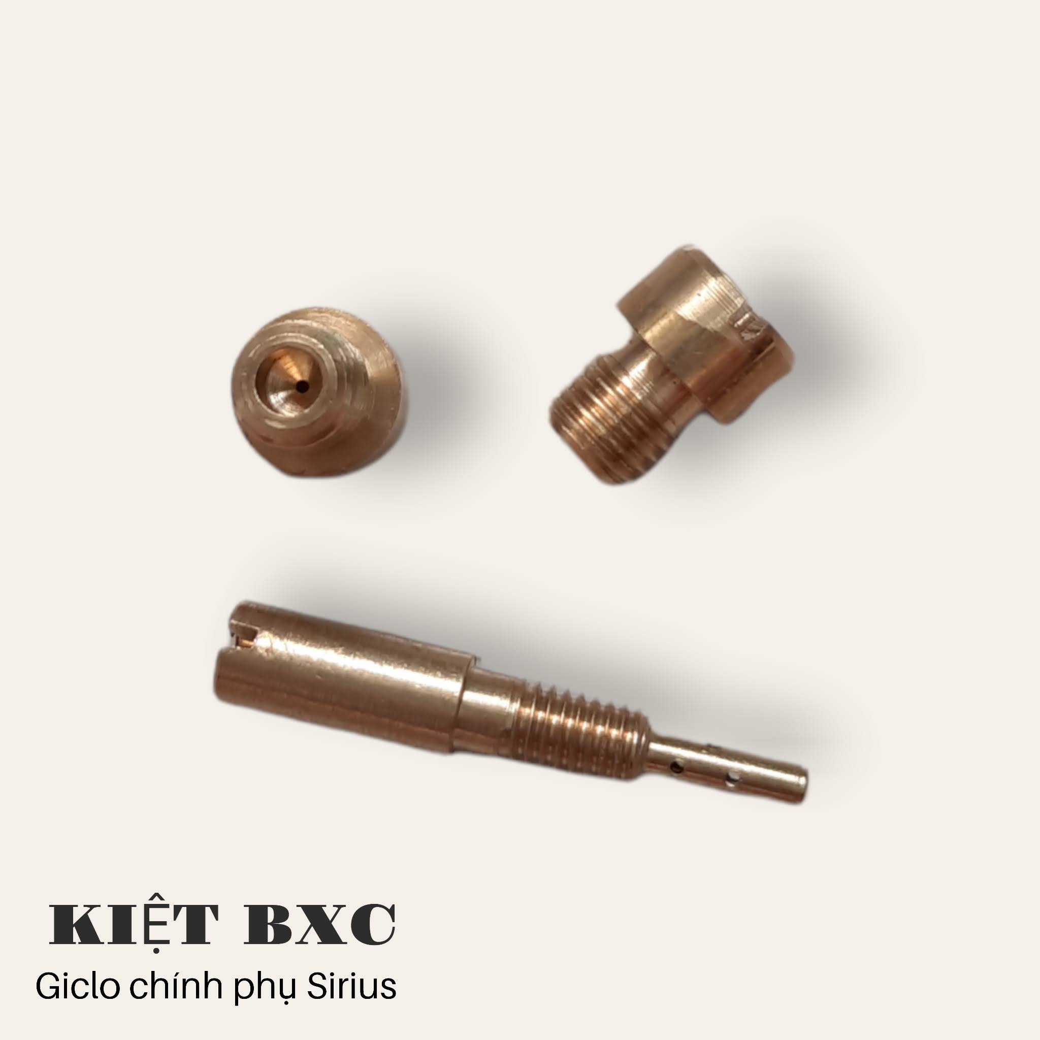 GICLO XĂNG BỘ CHẾ SIRIUS/AXELO (BÁN LẺ)