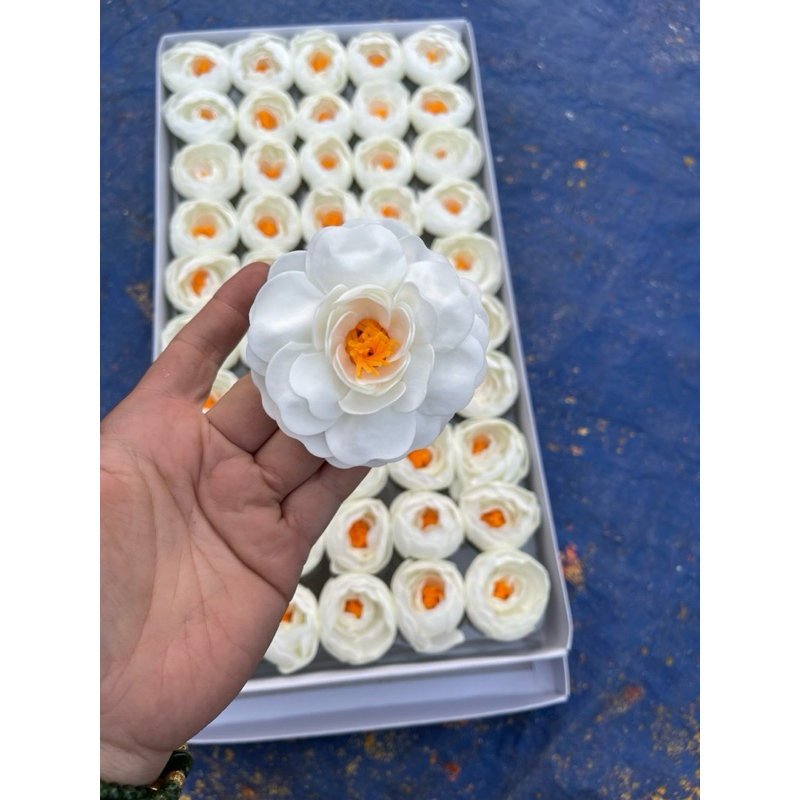 HOA SÁP MAO LƯƠNG”hoa trà”( hộp 50 bông)