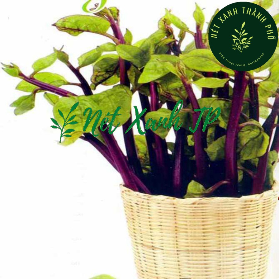 Hạt giống Mồng Tơi Đỏ (mồng tơi tím) - H2T FARM