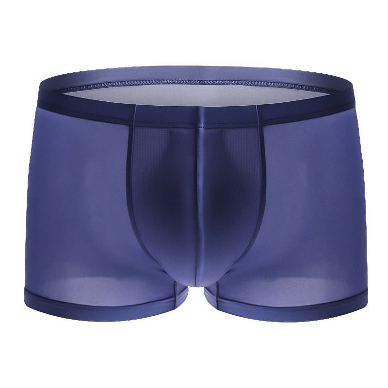 Durable Men's Ice Silk Boxer Briefs Thin Transparent Underwear Shorts L~2XL