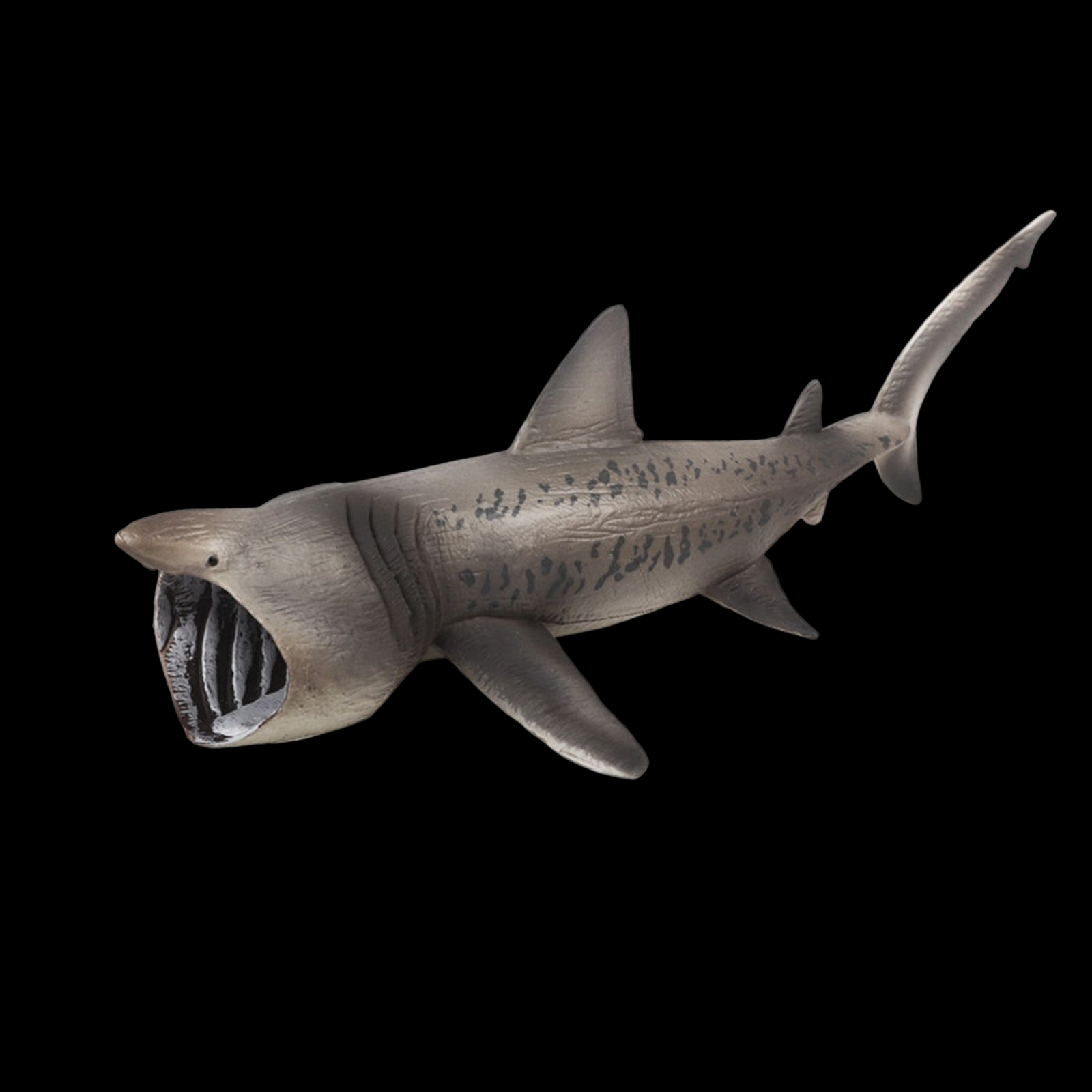 Gispark Realistic Basking Sharks Model Cognitive Early Learning Marine Creatures Figures Collection for Decorations Home Learning Party