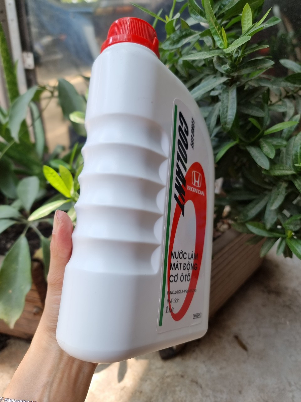Combo 6 nước làm mát Honda chính hãng
