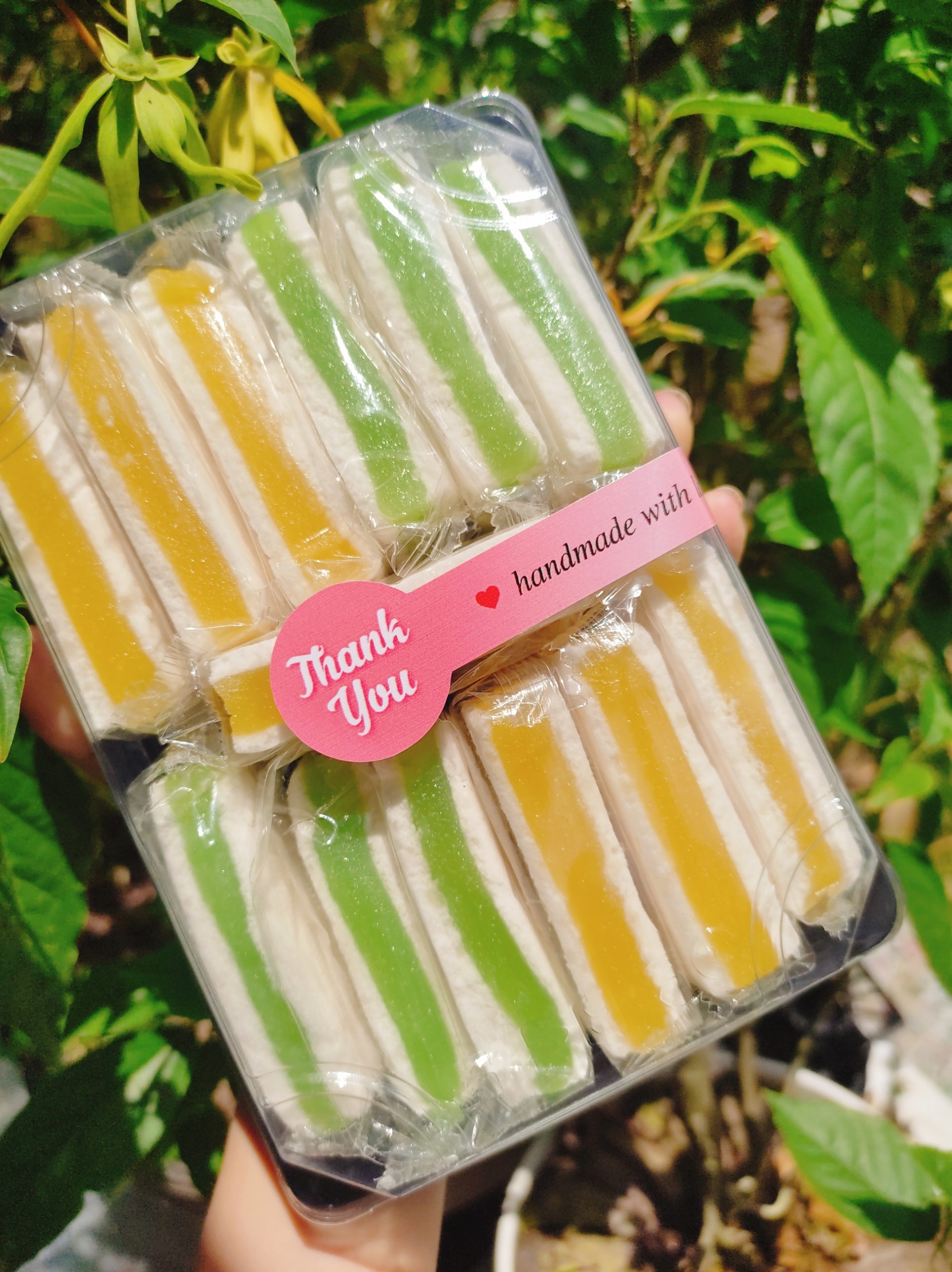 Bánh in mix 4 vị hộp 500g ( đậu xanh lá dứa, đậu xanh sầu riêng, môn,dừa mè)