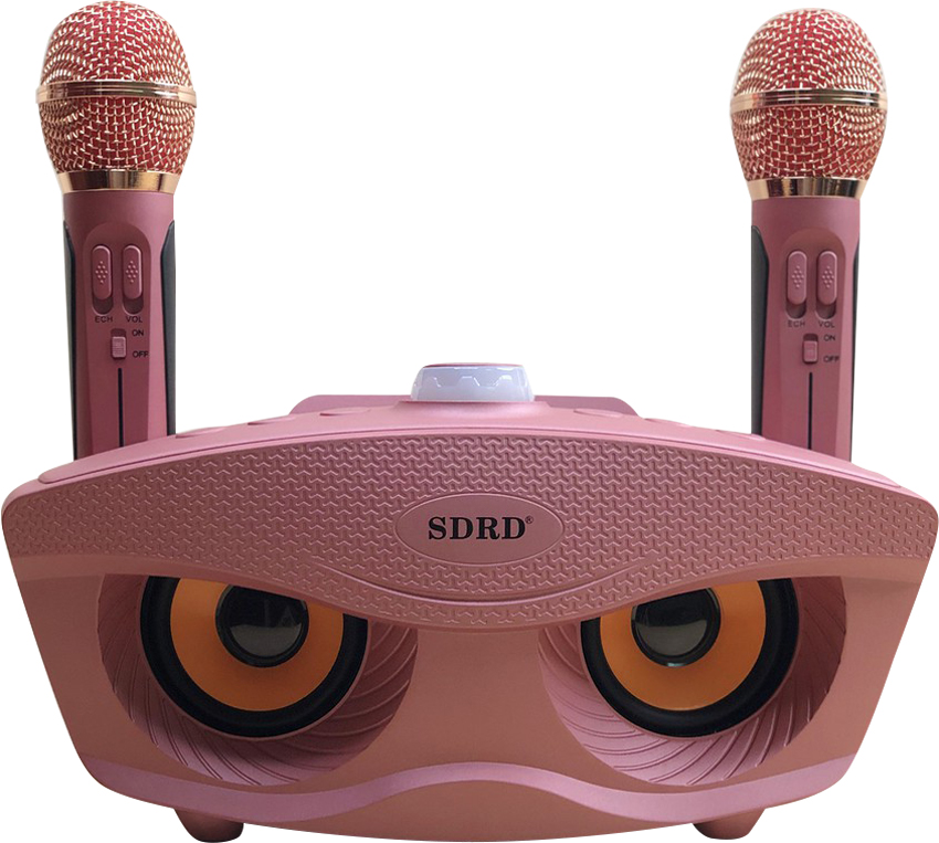 Loa karaoke mini Mắt Cú sd306