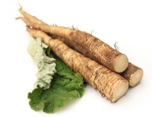 Hạt Giống Ngưu Bàng Thảo Dược (ECO.455)
