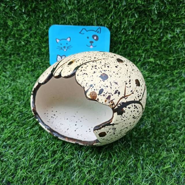 Nhà ngủ Hamster Trứng Khủng Long