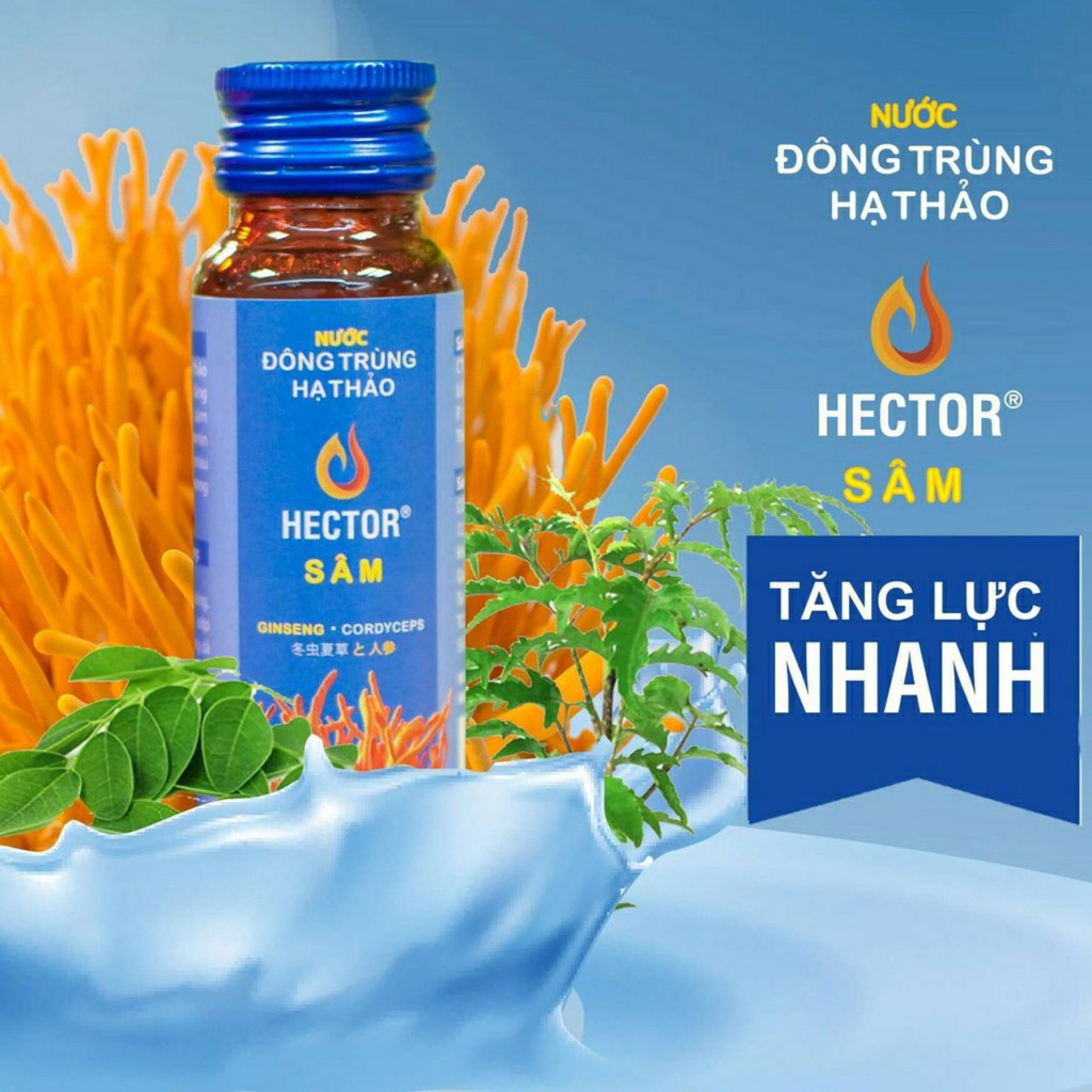 Hộp 10 Chai Hector Cordyceps Ginseng   Sâm( xanh)