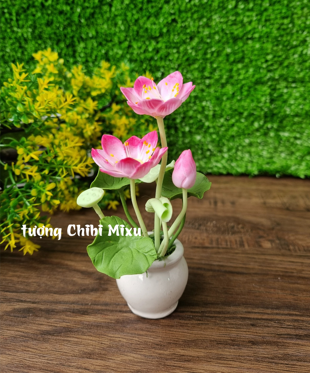 Chậu hoa sen bằng đất sét Nhật cao tầm 10cm