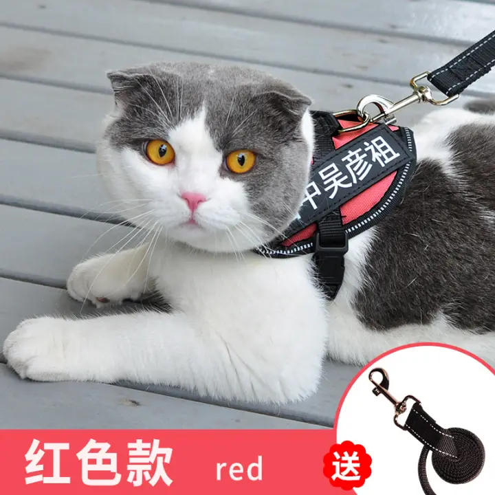 cat harness lazada