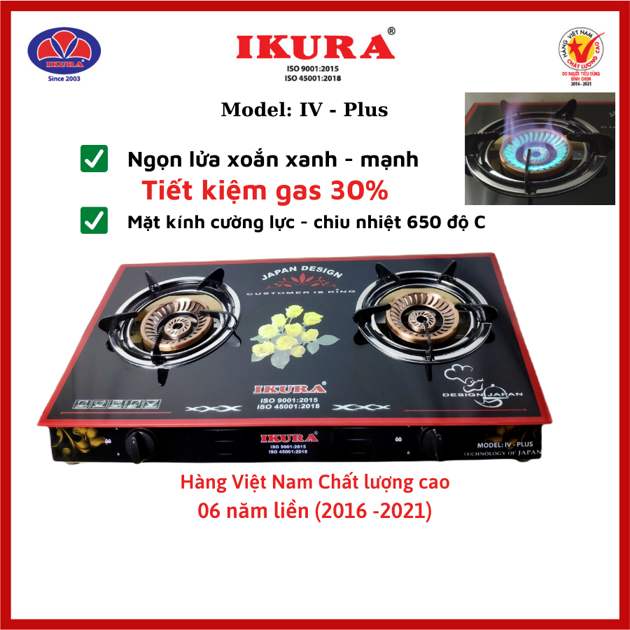 Bếp gas đôi tiết kiệm gas - lửa xoắn xanh