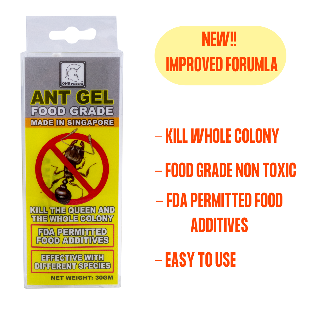ONS Ant Gel Pest Control [Food Grade, Non Toxic] | Lazada Singapore