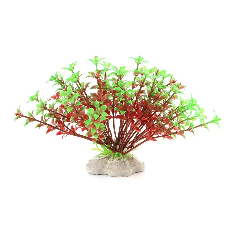 Cây Rong Trang Trí Bể Cá Size Vừa (Khoảng 12cm x 12cm Mỗi Cây) - Đồ Trang Trí Hồ Cá