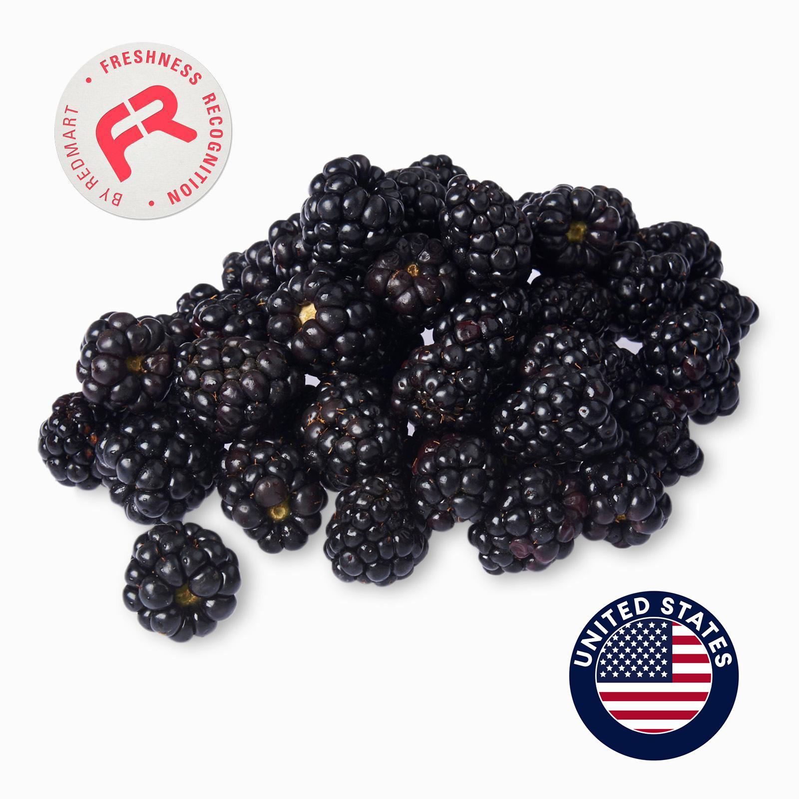 Driscoll's Blackberries 170G Lazada Singapore