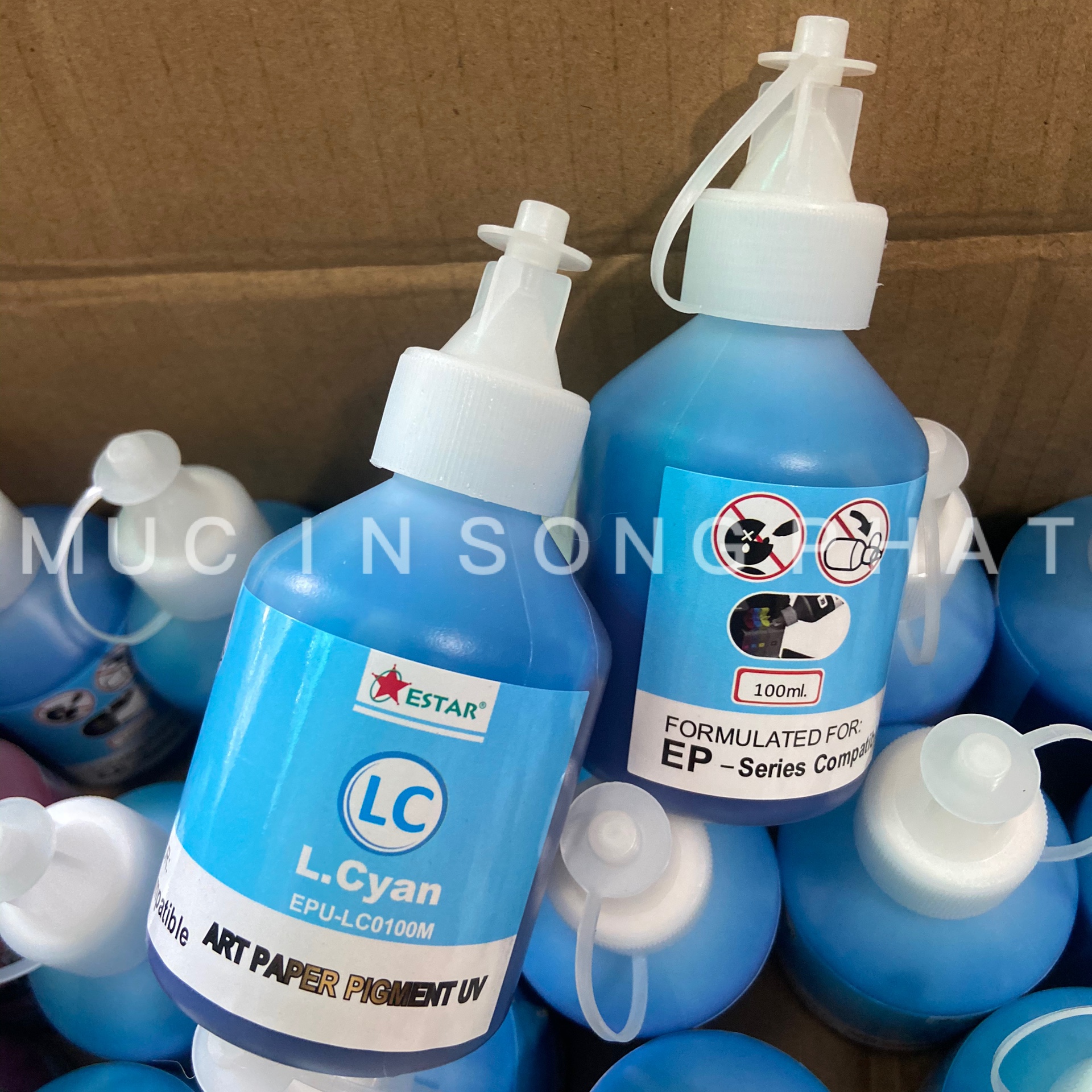 Mực dầu Pigment UV Epson 100ml (Giá tính trên 1 màu)