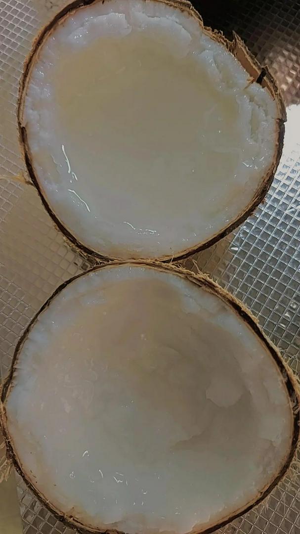 DỪA SÁP LOẠI LỎNG LỚN SỈ LẺ TOÀN QUỐC