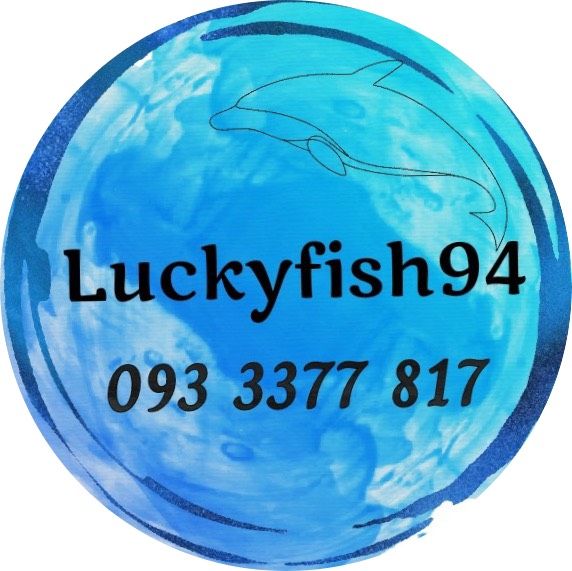 [Freeship+HCM+Luckyfish94] FUNGUS CURE HỖ TRỢ CHO CÁ CẢNH 1 GÓI A334